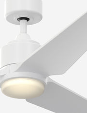 Aurore Ceiling Fan + Light - Ceiling Fan with Light Indoor Fixture