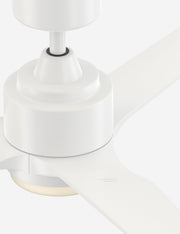 Aurore Ceiling Fan + Light - Ceiling Fan with Light Indoor Fixture