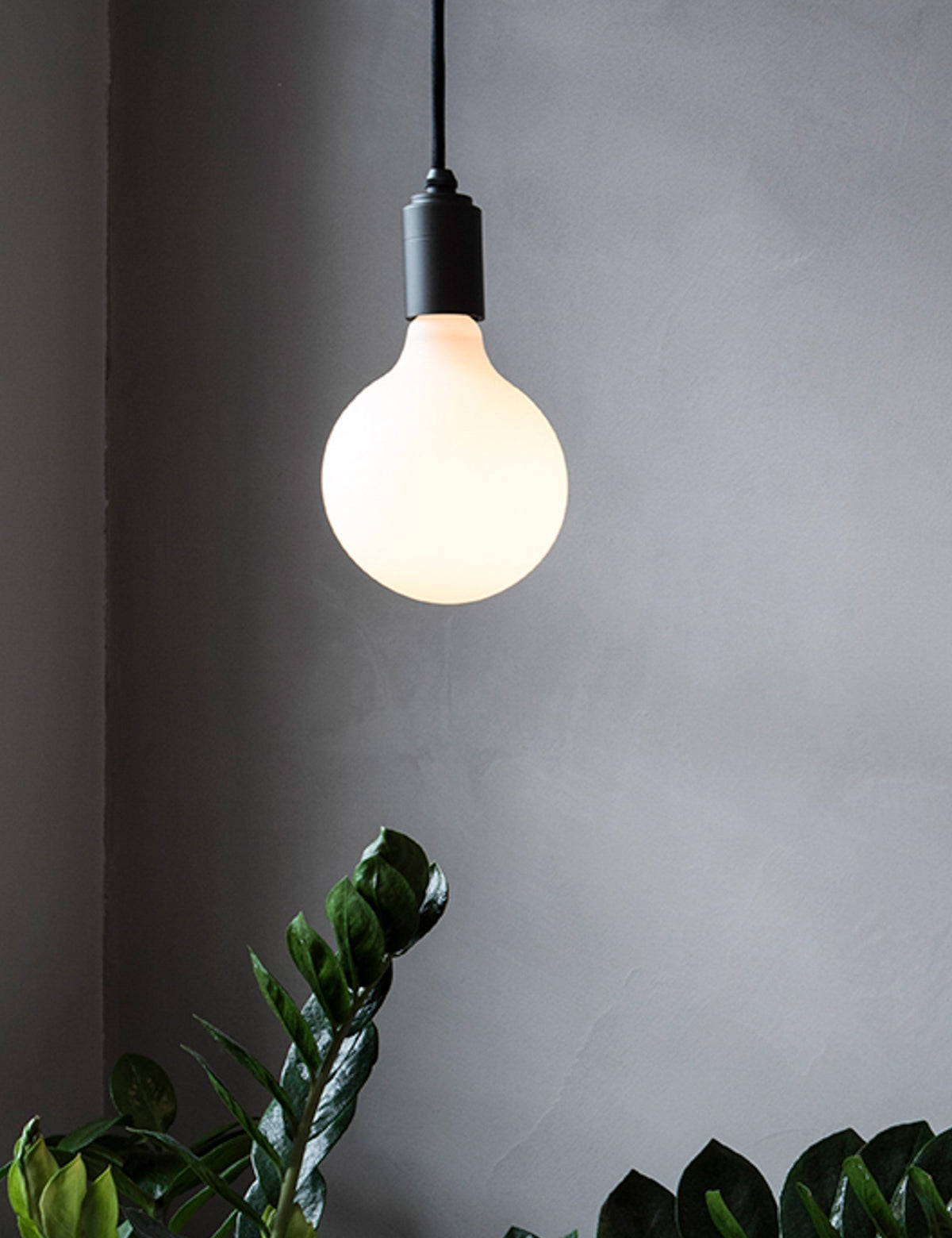 Porcelain III 6W LED Bulb (Set of 2) - LED Light Bulb Set Light